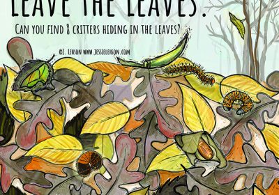 Leave the Leaves Seek & Find