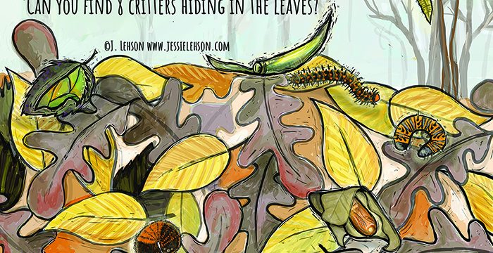 Leave the Leaves Seek & Find