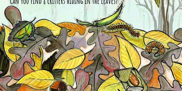 Leave the Leaves Seek & Find