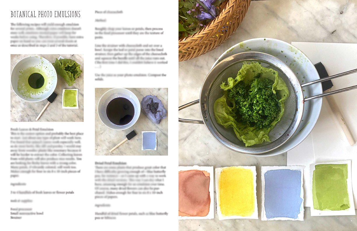 anthotypre directions