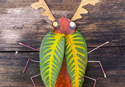 Leaf Critters