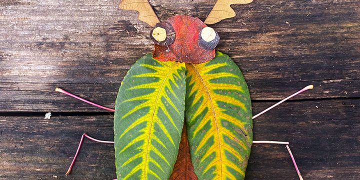 Leaf Critters