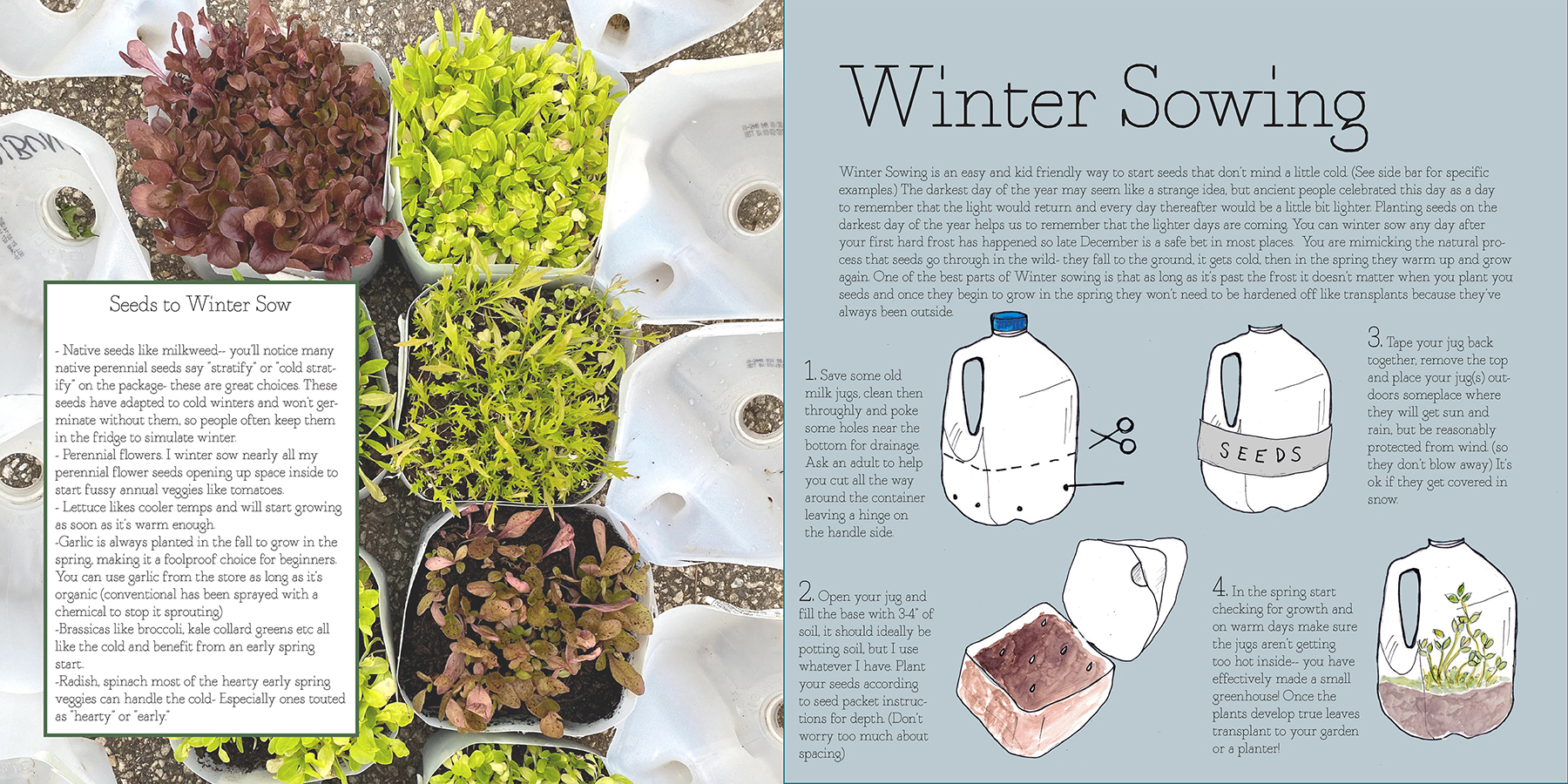 winter sowing activity page