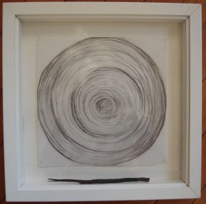 Lehson_Annual Rings 3