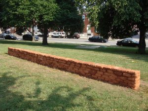 Lehson_Growth Decay Patterson 1