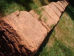 Lehson_Growth Decay Patterson 4