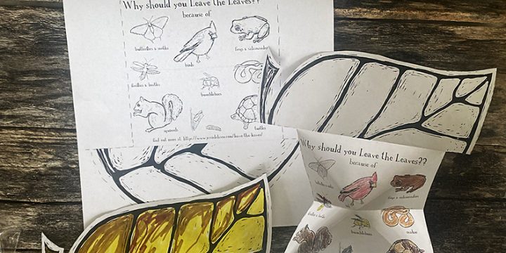 Leave the Leaf Fold-out Coloring Page